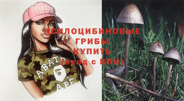 дживик Михайловка