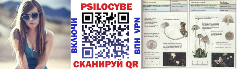Купить  Кириллов  Псилоцибиновые грибы MAGIC MUSHROOMS 